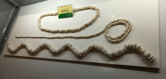 KIMG0079